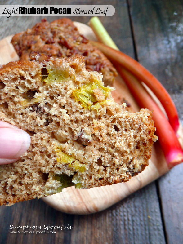 Light Rhubarb Pecan Streusel Loaf ~ Sumptuous Spoonfuls #wholegrain #lowfat #rhubarb #bread #recipe