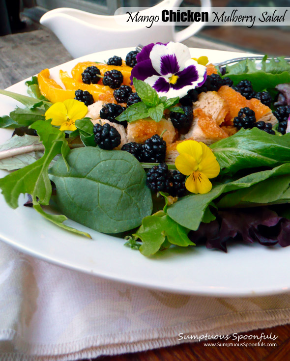 Mango Chicken Mulberry Salad with Mango Lavender Key Lime Yogurt Dressing ~ Sumptuous Spoonfuls #dinner #salad #recipe