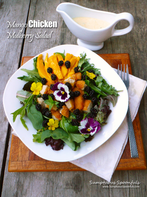 Mango Chicken Mulberry Salad with Mango Lavender Key Lime Yogurt Dressing ~ Sumptuous Spoonfuls #dinner #salad #recipe