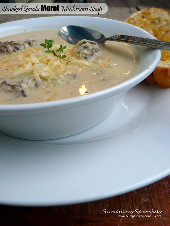 Smoked Gouda Morel Mushroom Soup ~ Sumptuous Spoonfuls #mushroom #cheese #soup #recipe