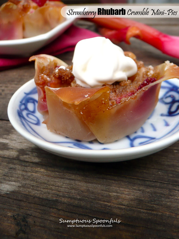 Strawberry Rhubarb Crumble Mini-Pies ~ Sumptuous Spoonfuls #bite-size #dessert #recipe