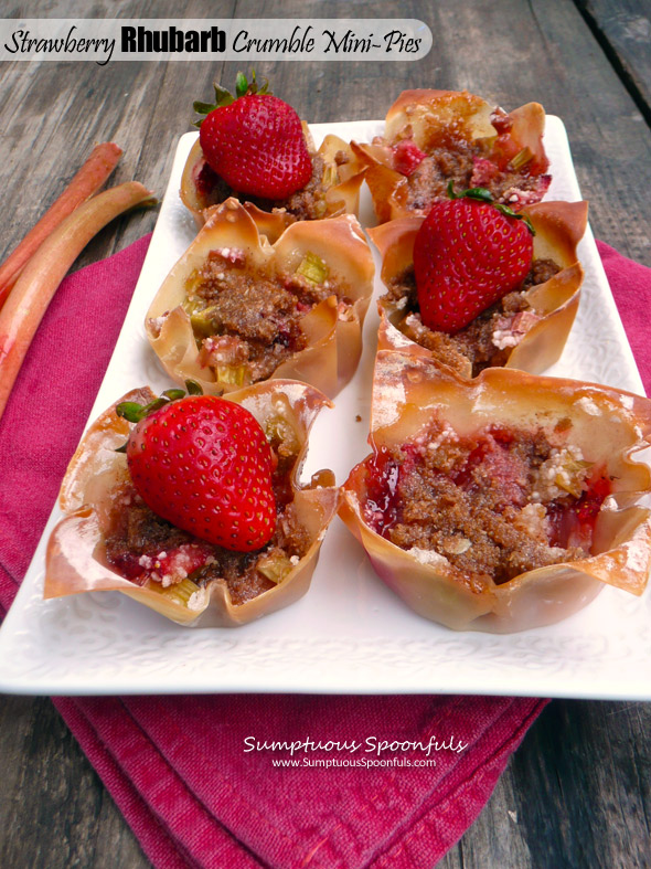 Strawberry Rhubarb Crumble Mini-Pies ~ Sumptuous Spoonfuls #bite-size #dessert #recipe