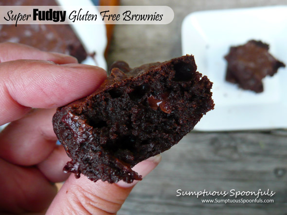 Super Fudgy Gluten Free Brownies ~ Sumptuous Spoonfuls #chocolate #brownie #recipe #glutenfree