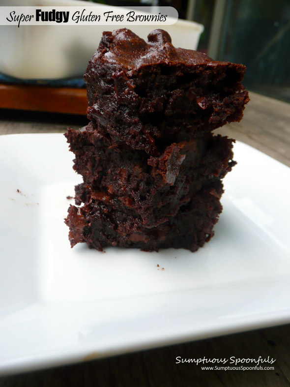 Super Fudgy Gluten Free Brownies ~ Sumptuous Spoonfuls #chocolate #brownie #recipe #glutenfree