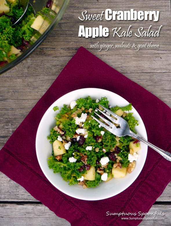 Sweet Cranberry Apple Kale Salad with Ginger, Walnuts & Goat Cheese ~ Sumptuous Spoonfuls #kale #salad #recipe