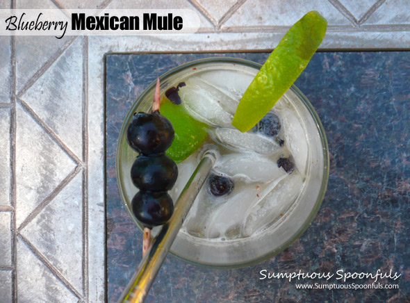 Blueberry Mexican Mule ~ Sumptuous Spoonfuls #blueberry #ginger #tequila #cocktail #recipe