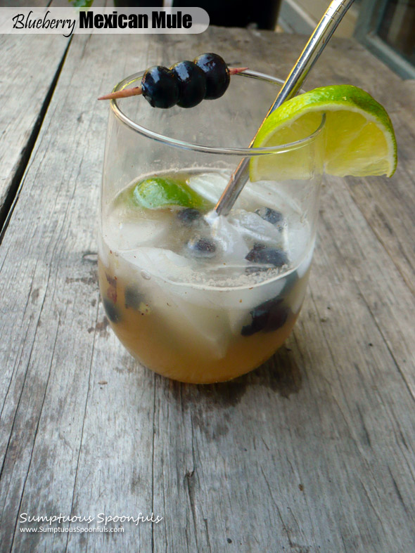 Blueberry Mexican Mule ~ Sumptuous Spoonfuls #blueberry #ginger #tequila #cocktail #recipe