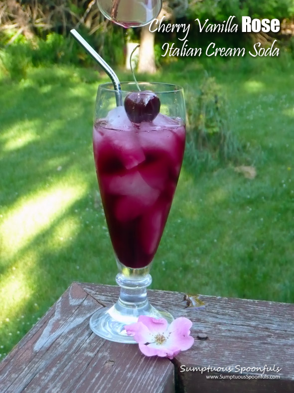Cherry Vanilla Rose Italian Cream Soda ~ Sumptuous Spoonfuls #homemade #Italian #cream #soda #recipe