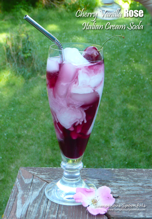 Cherry Vanilla Rose Italian Cream Soda ~ Sumptuous Spoonfuls #homemade #Italian #cream #soda #recipe