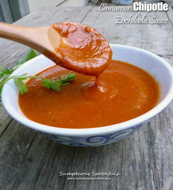 Cinnamon Chipotle Enchilada Sauce ~ Sumptuous Spoonfuls #enchilada #sauce #recipe #homemade