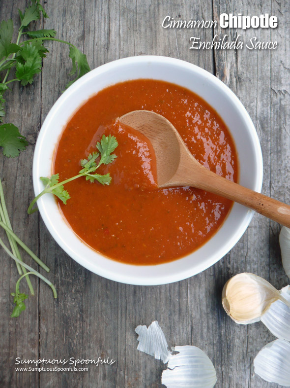 Cinnamon Chipotle Enchilada Sauce ~ Sumptuous Spoonfuls #enchilada #sauce #recipe #homemade