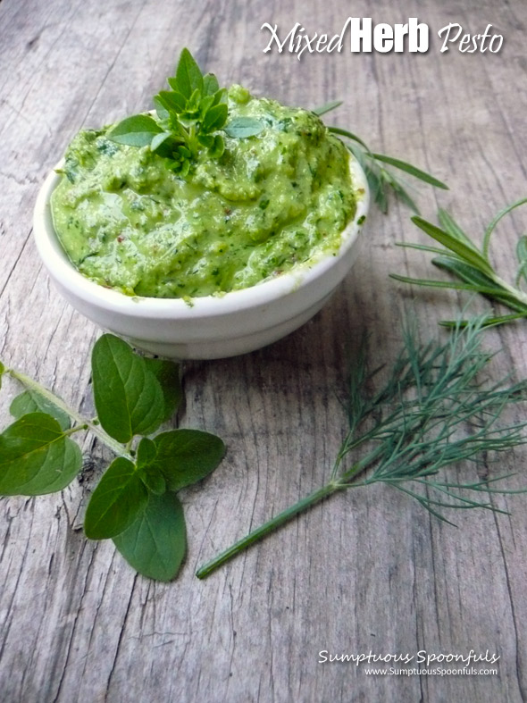 Mixed Herb Pesto ~ Sumptuous Spoonfuls #herb #pesto #recipe