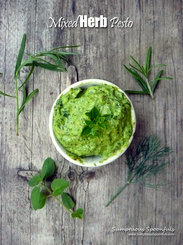 Mixed Herb Pesto ~ Sumptuous Spoonfuls #herb #pesto #recipe