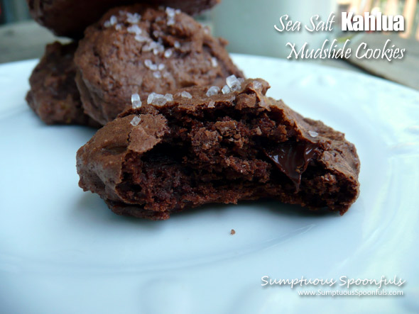 Sea Salt Kahlua Mudslide Cookies ~ Sumptuous Spoonfuls #decadent #lowfat #chocolate #cookie #recipe