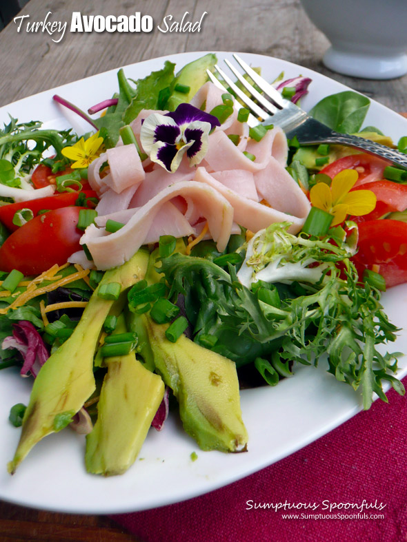 Turkey Avocado Salad with Herb Chipotle Ranch Dressing ~ Sumptuous Spoonfuls #dinner #salad #recipe