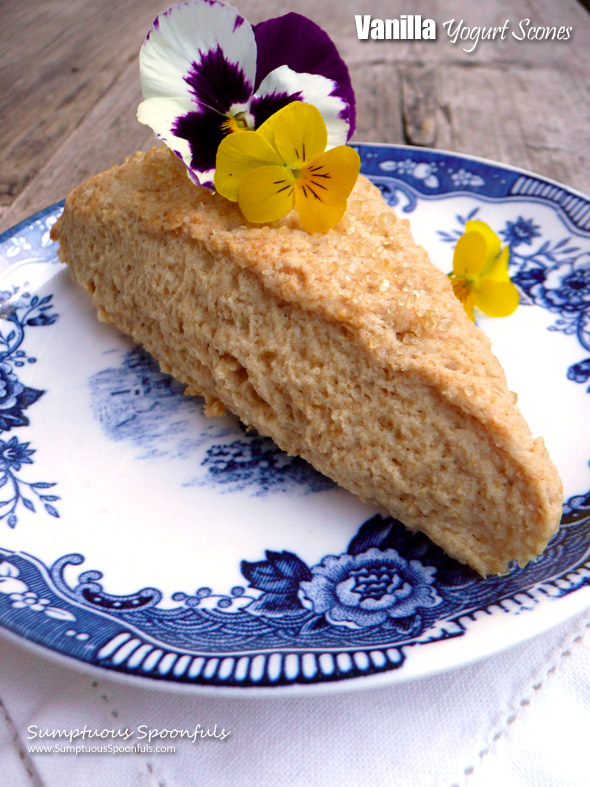 Easy Vanilla Yogurt Scones ~ Sumptuous Spoonfuls #vanilla #yogurt #scones #recipe