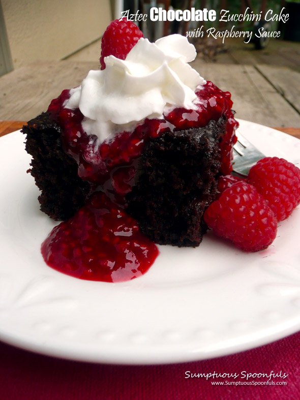 Aztec Chocolate Zucchini Cake with Raspberry Sauce ~ Sumptuous Spoonfuls #chocolate #raspberry #zucchini #cake #recipe