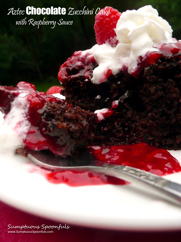 Aztec Chocolate Zucchini Cake with Raspberry Sauce ~ Sumptuous Spoonfuls #chocolate #raspberry #zucchini #cake #recipe