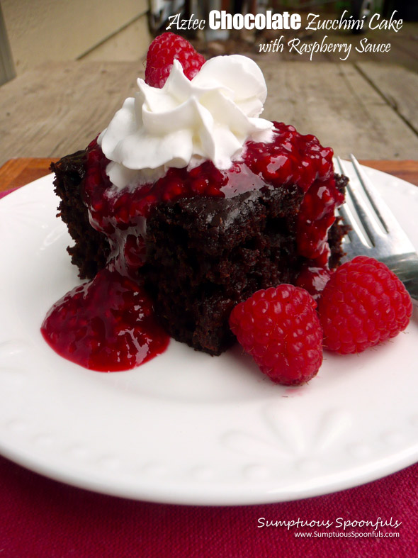 Aztec Chocolate Zucchini Cake with Raspberry Sauce ~ Sumptuous Spoonfuls #chocolate #raspberry #zucchini #cake #recipe