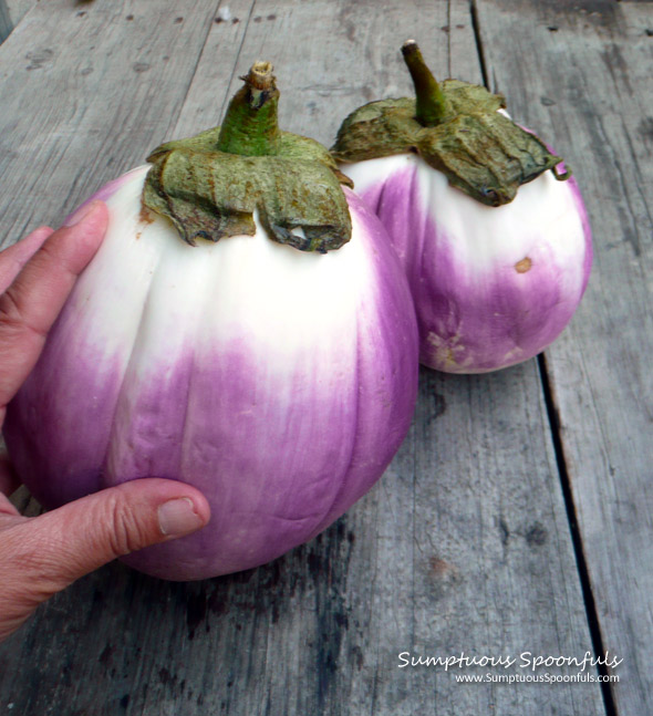 Really BIG Eggplant from my mom's garden