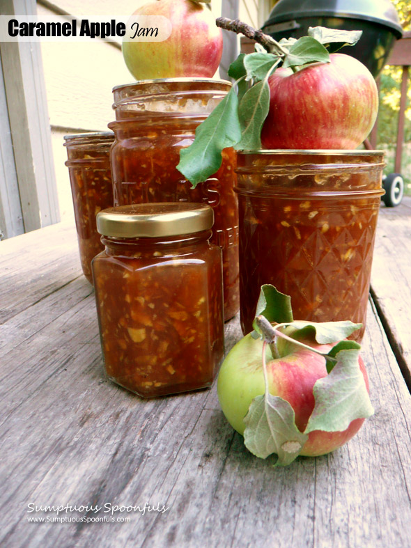 Caramel Apple Jam ~ Sumptuous Spoonfuls #autumn #apple #jam #recipe #canning