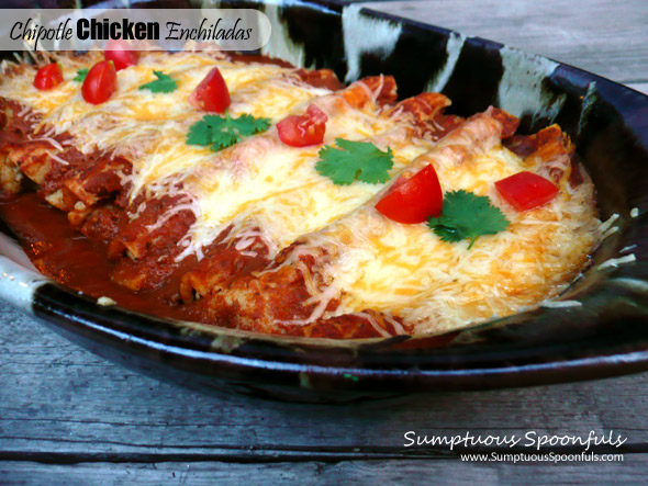 Chipotle Chicken Enchiladas ~ Sumptuous Spoonfuls #homemade #enchilada #recipe