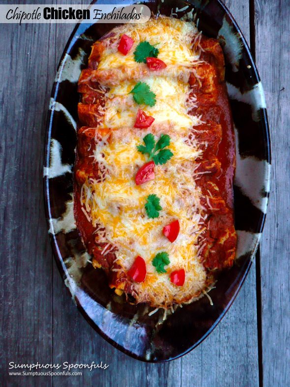 Chipotle Chicken Enchiladas ~ Sumptuous Spoonfuls #homemade #enchilada #recipe