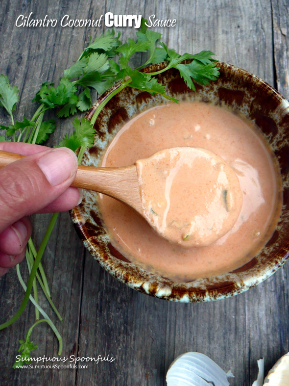 Cilantro Coconut Curry Sauce ~ Sumptuous Spoonfuls #easy #thai #curry #sauce #recipe