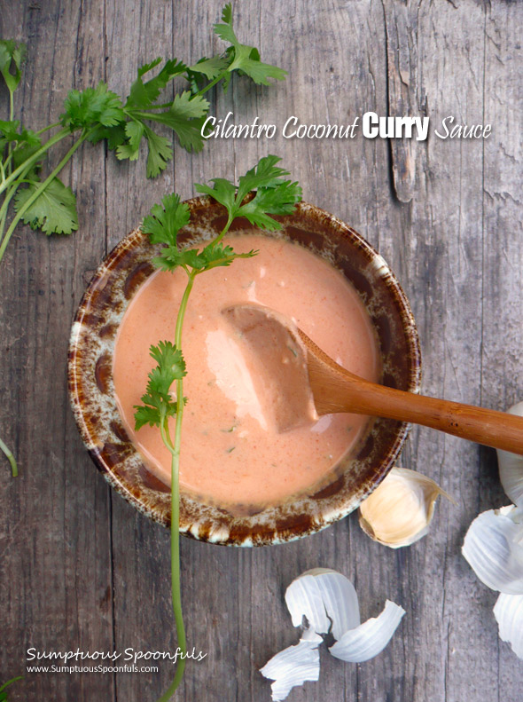 Cilantro Coconut Curry Sauce ~ Sumptuous Spoonfuls #easy #thai #curry #sauce #recipe