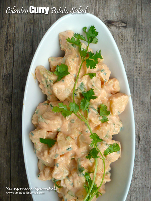 Cilantro Curry Potato Salad ~ Sumptuous Spoonfuls #curry #potato #salad #recipe