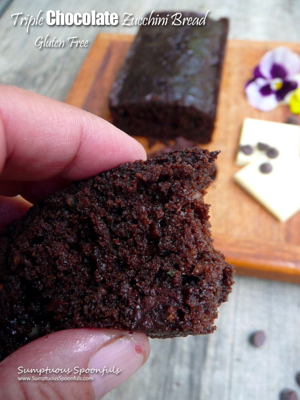 Gluten Free Triple Chocolate Zucchini Bread ~ Sumptuous Spoonfuls #glutenfree #chocolate #zucchini #bread #recipe