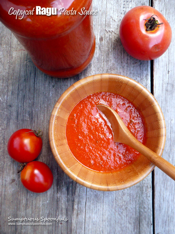 Copycat Ragu Pasta Sauce ~ Sumptuous Spoonfuls #ragu #copycat #pasta #sauce