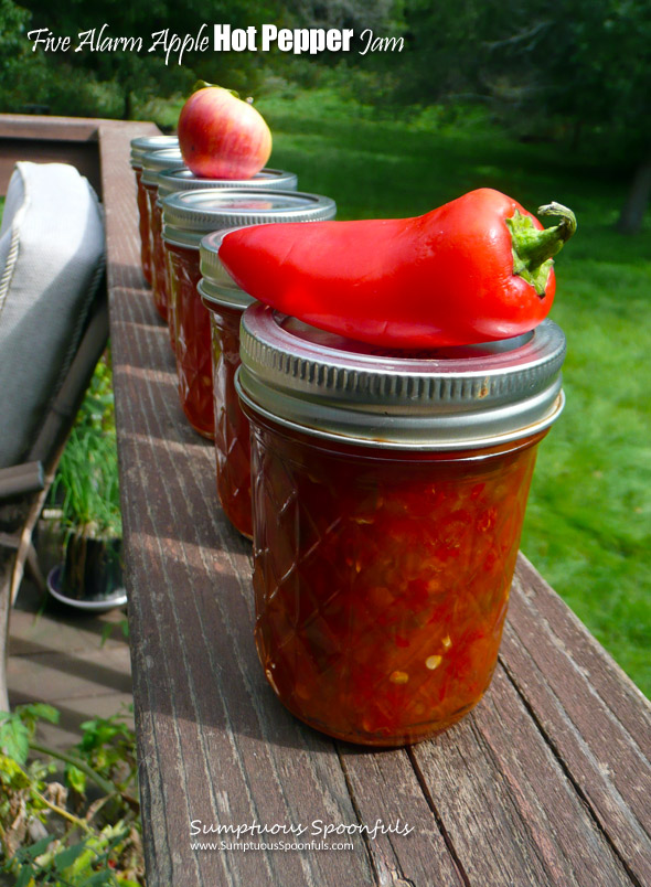 Five Alarm Apple Hot Pepper Jam ~ Sumptuous Spoonfuls #hot #sweet #apple #jalapeno #jam #recipe