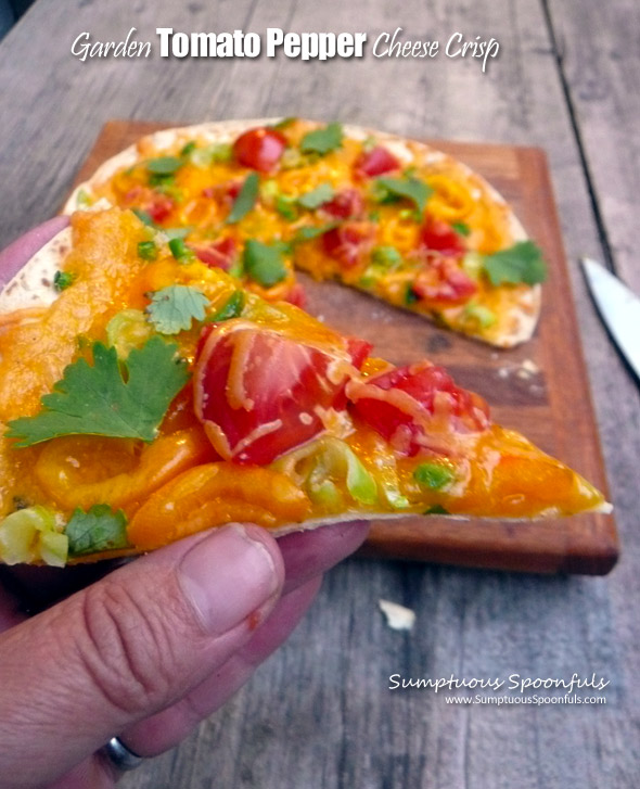 Garden Tomato Pepper Cheese Crisp ~ Sumptuous Spoonfuls #easy #cheesy #tomato #pepper #recipe