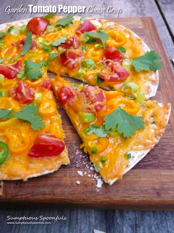 Garden Tomato Pepper Cheese Crisp ~ Sumptuous Spoonfuls #easy #cheesy #tomato #pepper #recipe