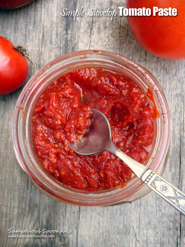 Simple-Stovetop-Tomato-Paste-Recipe-3