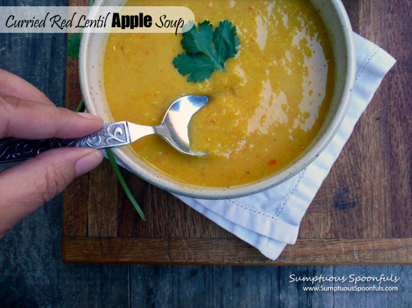 Curried Red Lentil Apple Soup ~ Sumptuous Spoonfuls #autumn #lentil #apple #soup #recipe
