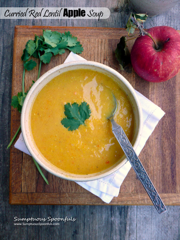 Curried Red Lentil Apple Soup ~ Sumptuous Spoonfuls #autumn #lentil #apple #soup #recipe