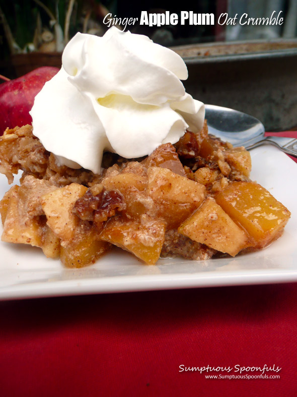 Ginger Apple Plum Oat Crumble ~ Sumptuous Spoonfuls #fruity #baked #oatmeal #recipe