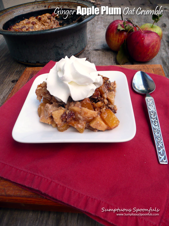 Ginger Apple Plum Oat Crumble ~ Sumptuous Spoonfuls #fruity #baked #oatmeal #recipe