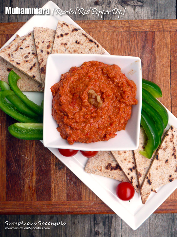 Muhammara  {a Mediterranean Roasted Red Pepper Dip} ~ Sumptuous Spoonfuls #mediterranean #dip #recipe