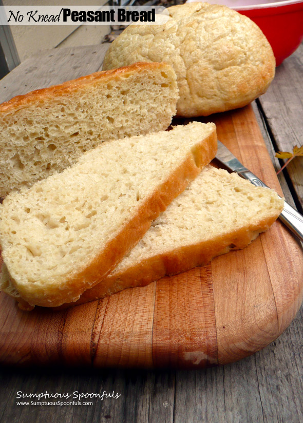 No Knead Peasant Bread baked in a bowl ~ Sumptuous Spoonfuls #easy #yeast #bread #recipe