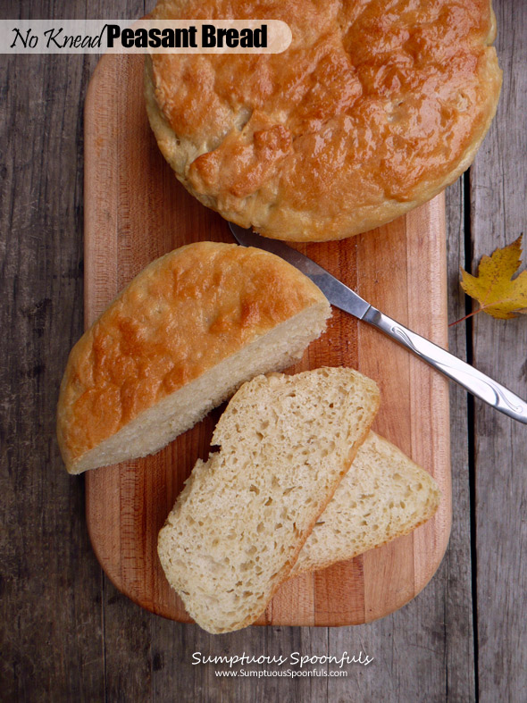 No Knead Peasant Bread baked in a bowl ~ Sumptuous Spoonfuls #easy #yeast #bread #recipe