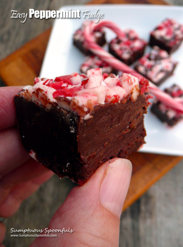 Easy Peppermint Fudge ~ Sumptuous Spoonfuls #simple #peppermint #chocolate #fudge #holiday #candy #recipe