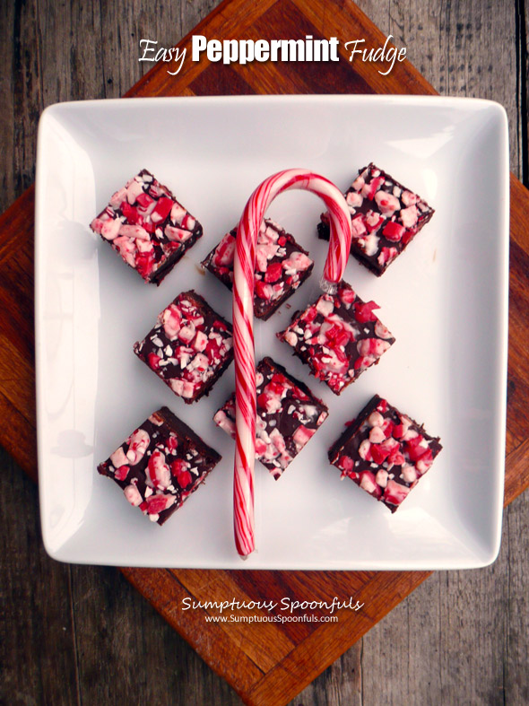 Easy Peppermint Fudge ~ Sumptuous Spoonfuls #simple #peppermint #chocolate #fudge #holiday #candy #recipe