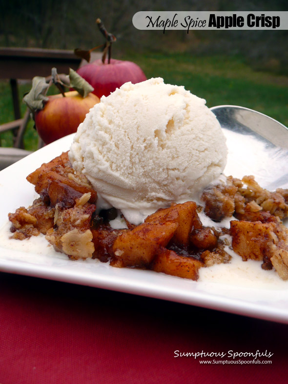 Maple Spice Apple Crisp ~ Sumptuous Spoonfuls #lowsugar #apple #crisp