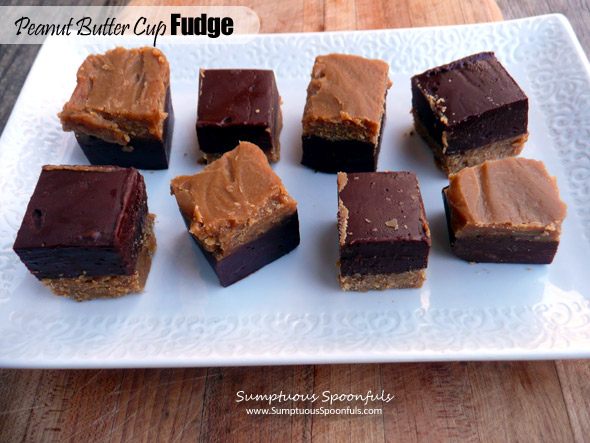 Peanut Butter Cup Fudge ~ Sumptuous Spoonfuls #easy #chocolate #peanutbutter #microwave #fudge #recipe