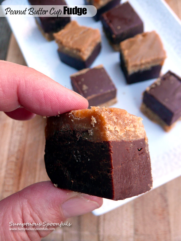 Peanut Butter Cup Fudge ~ Sumptuous Spoonfuls #easy #chocolate #peanutbutter #microwave #fudge #recipe