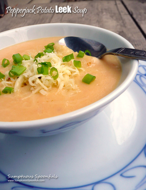 Pepperjack Potato Leek Soup ~ Sumptuous Spoonfuls#cheesy #potato #leek #soup #recipe #glutenfree