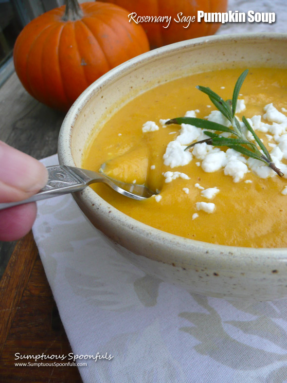 Creamy Rosemary Sage Pumpkin Soup ~ Sumptuous Spoonfuls #creamy #savory #pumpkin #soup #recipe